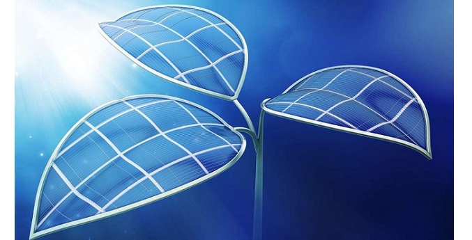 افزایش بهره‌وری سلول‌های خورشیدی با جلبک