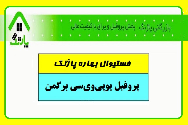 عرضه پروفیل برگمن در فستیوال بهاره بازرگانی پاژنگ