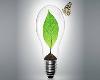 گیاهان مصنوعی منبع جدید انرژی می‌شوند