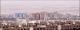 مسکن از خواب زمستانی بیدار می‌شود؟