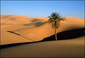 بیابان‌های ایران منبع بالقوه عظیم انرژی است 