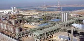 بازگشت خریداران به تالار پتروشیمی 